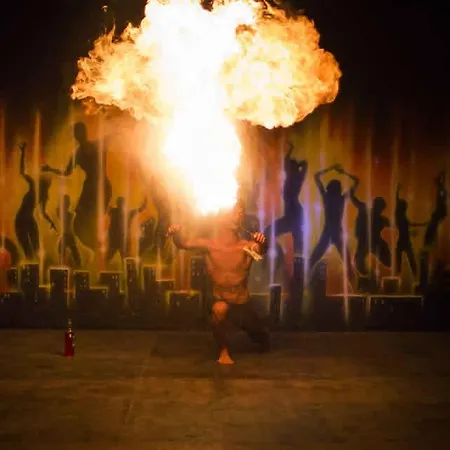 Hotel Alder Garden 4*